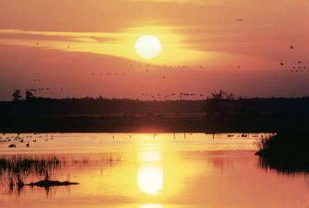Celebrate Nature Image